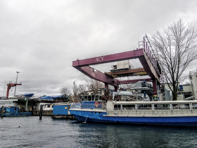 start luzi de Beaufort